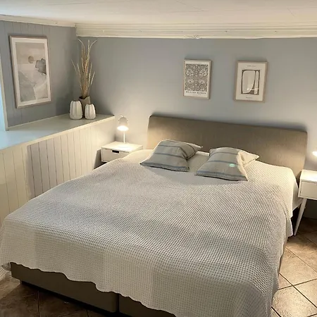 One Bedroom Basement In The