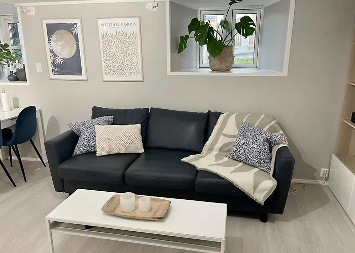 One Bedroom Basement In The Apartment