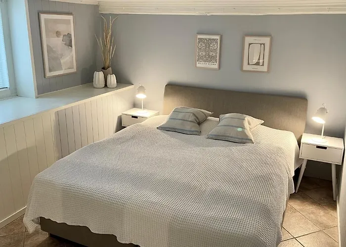 One Bedroom Basement In The