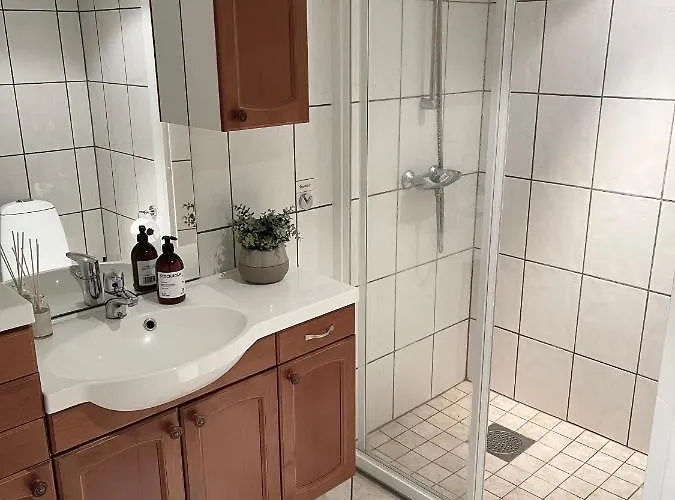One Bedroom Basement In The Apartman